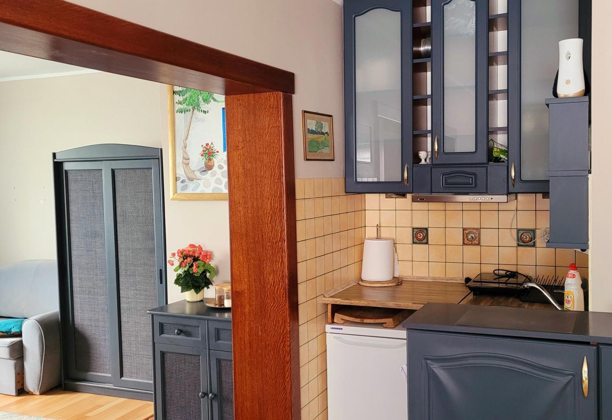 Apartament Brzoza Bydgoska 外观 照片